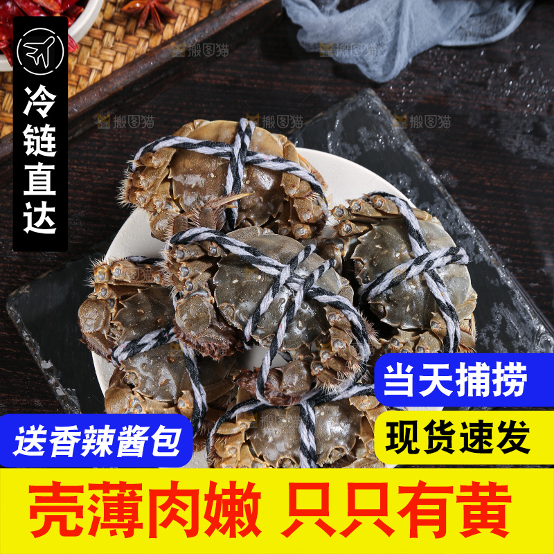 深底上的阳澄湖大闸蟹