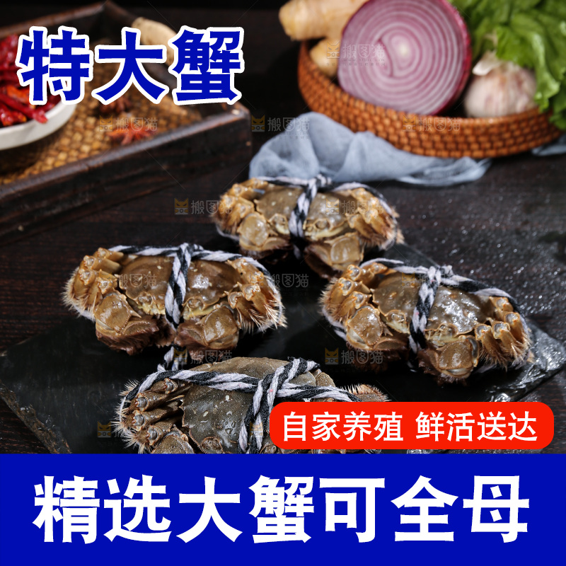 深底上的阳澄湖大闸蟹