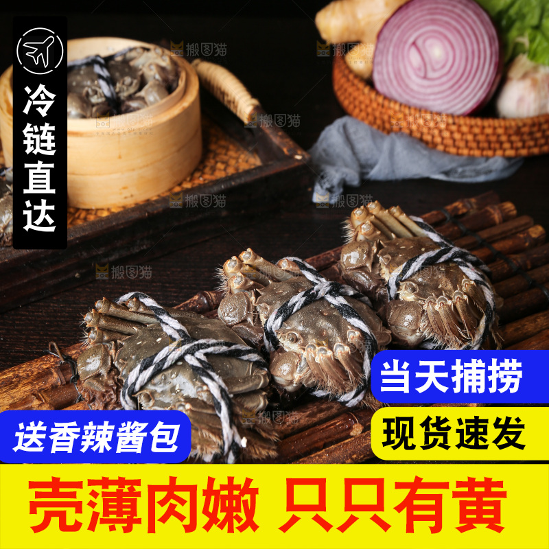 深底上的阳澄湖大闸蟹