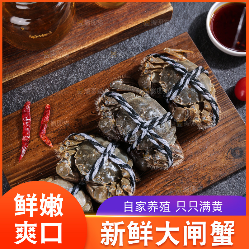 深底上的大闸蟹