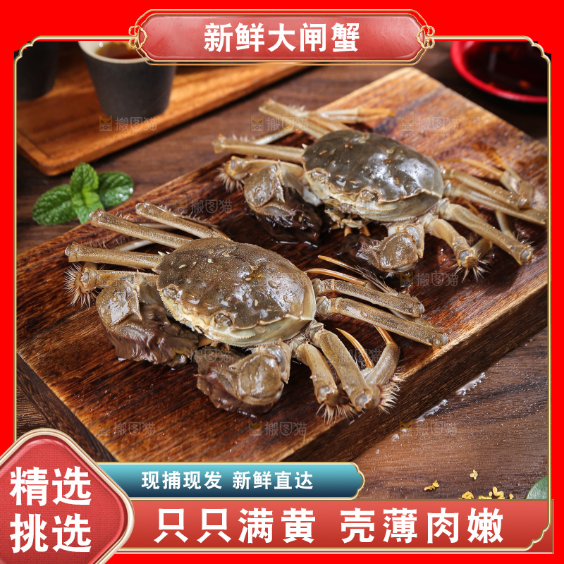 深底上的新鲜大闸蟹