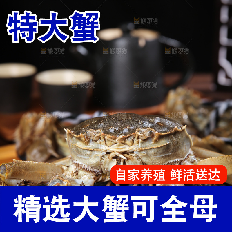 深底上的阳澄湖大闸蟹