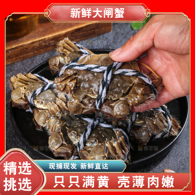 深底上的阳澄湖大闸蟹