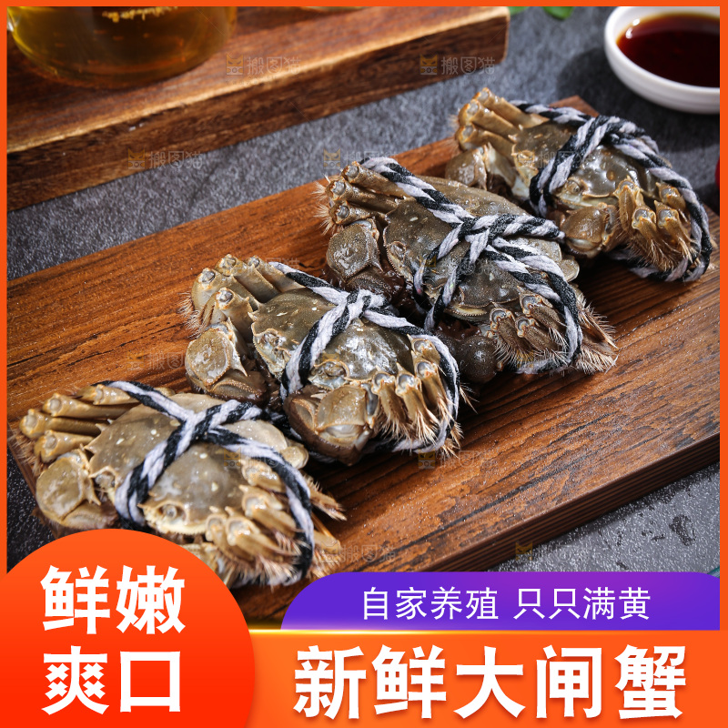 深底上的大闸蟹