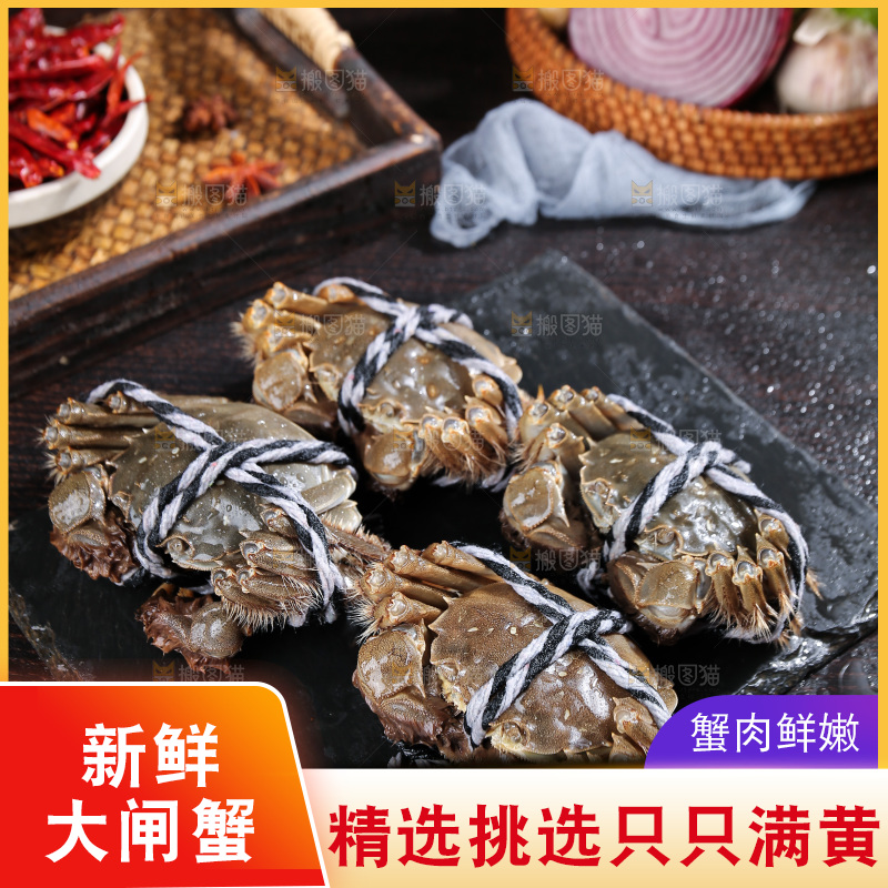 深底上的阳澄湖大闸蟹
