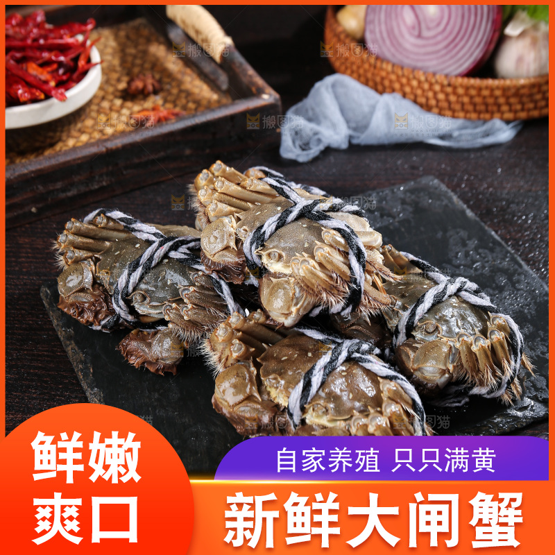 深底上的阳澄湖大闸蟹
