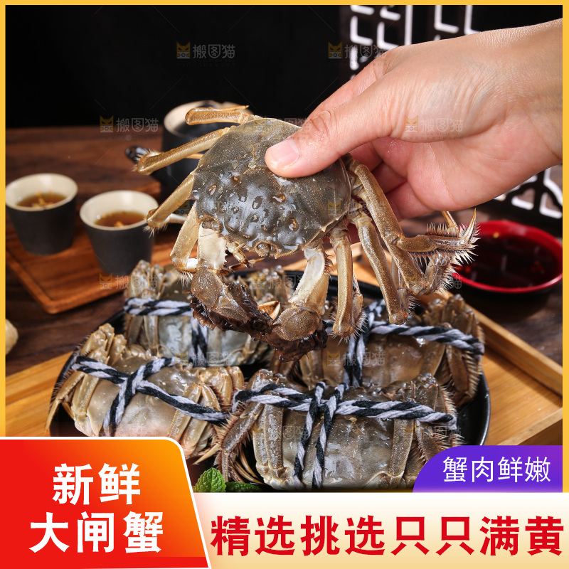 深底上的新鲜大闸蟹