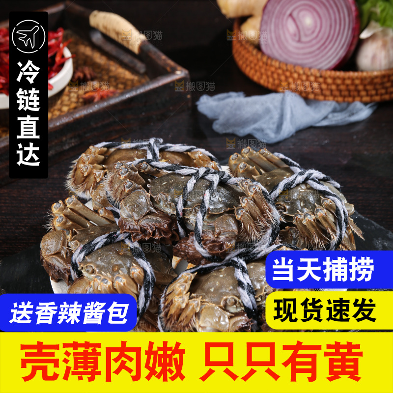 深底上的阳澄湖大闸蟹