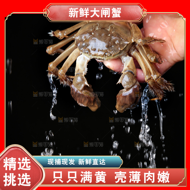 深底上的阳澄湖大闸蟹