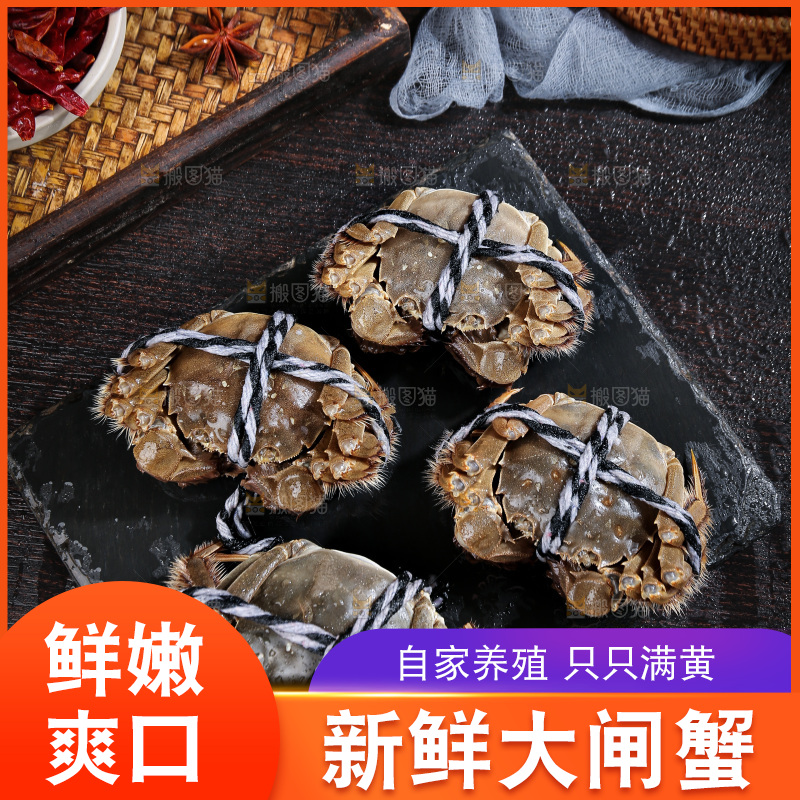 深底上的阳澄湖大闸蟹