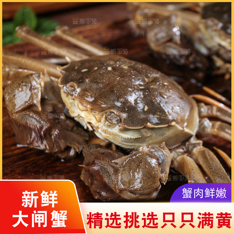 深底上的新鲜大闸蟹