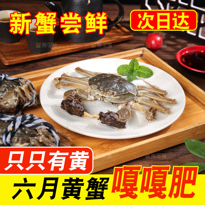 深底上的阳澄湖大闸蟹