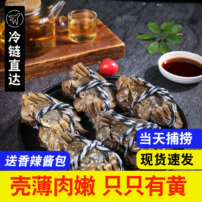 深底上的阳澄湖大闸蟹