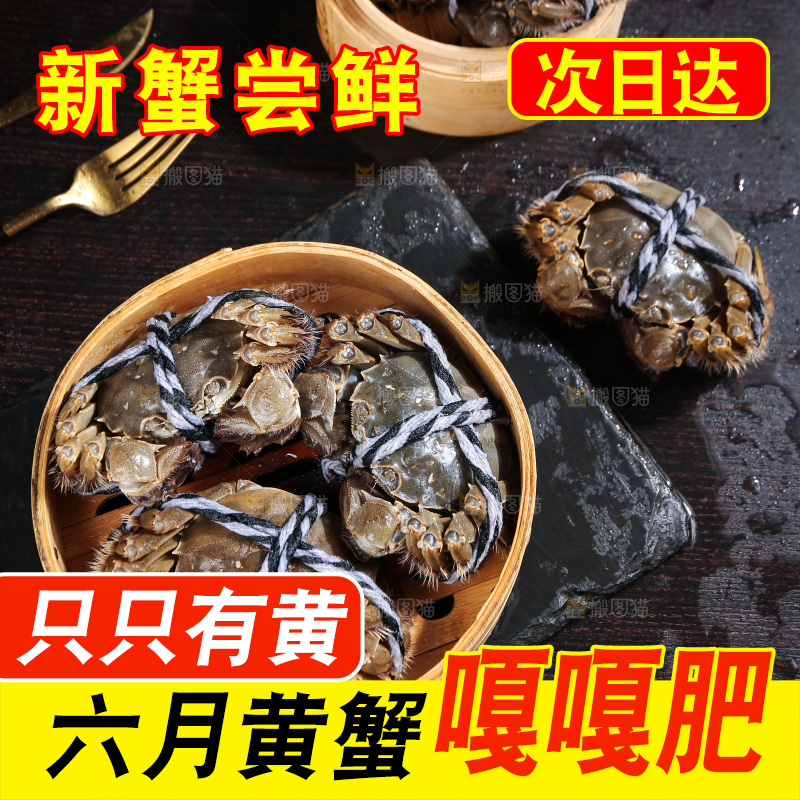 深底上的新鲜大闸蟹