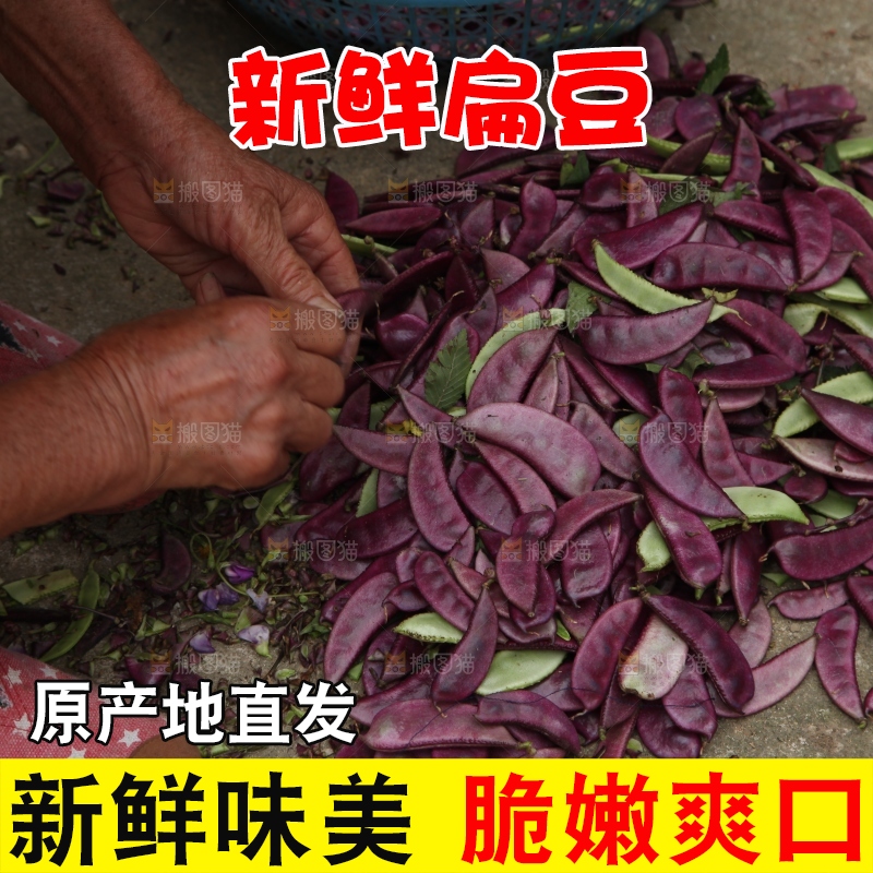 地上的新鲜紫扁豆