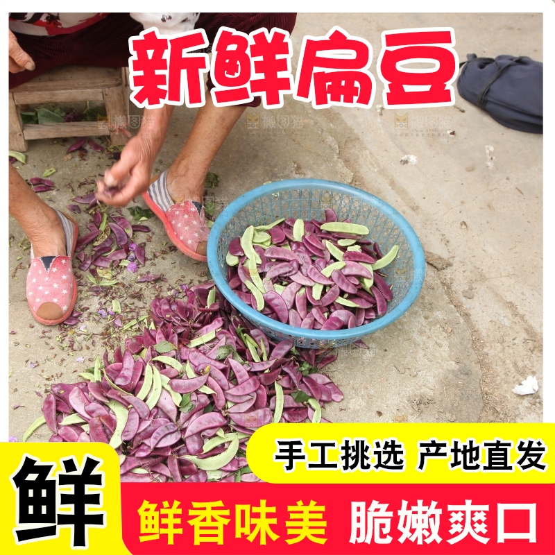 地上的新鲜紫扁豆