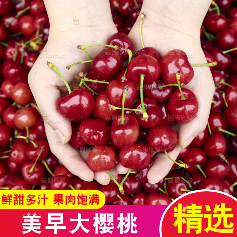 堆放着美早大樱桃
