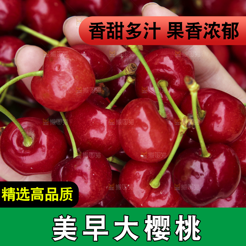 堆放着美早大樱桃