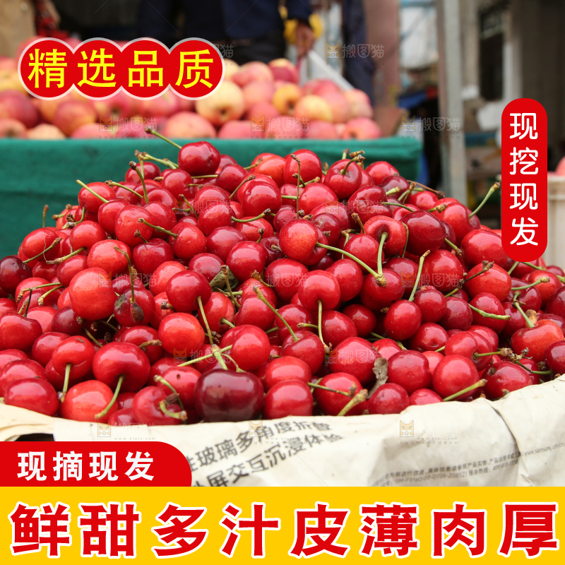 堆放着美早大樱桃