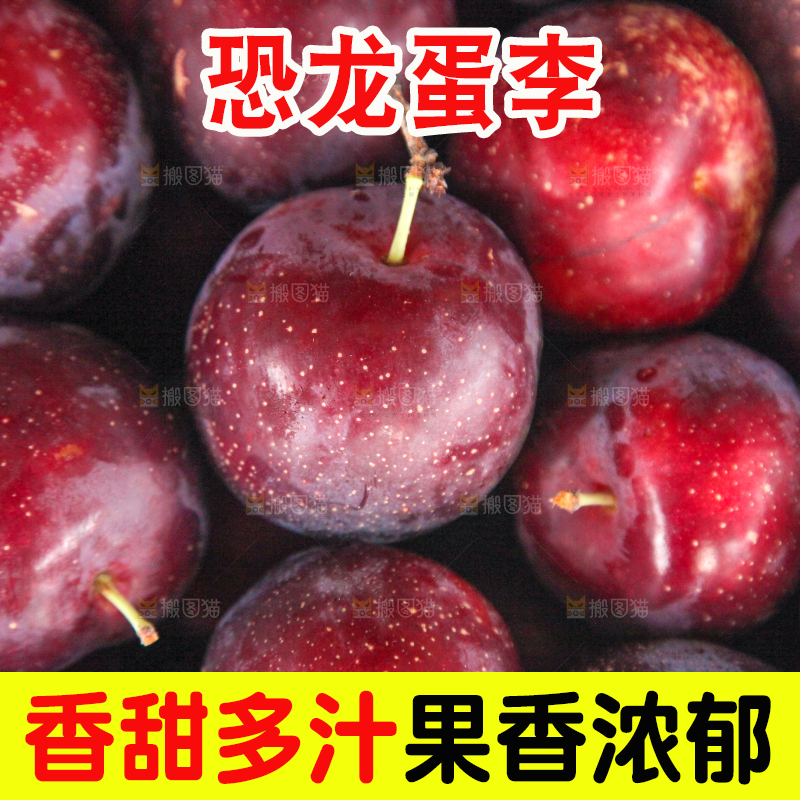 堆放着的新鲜红布林李子