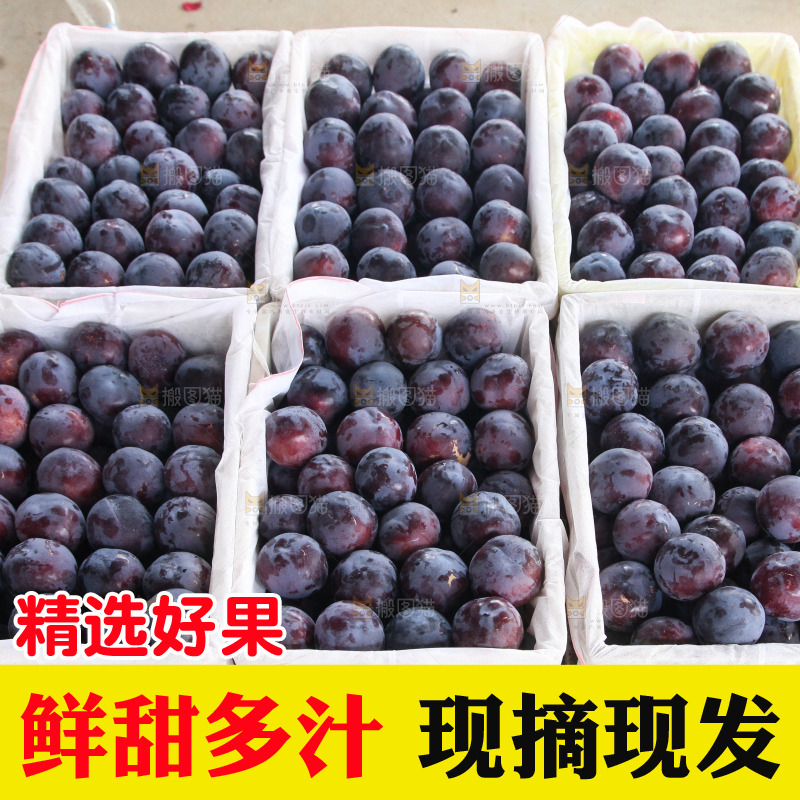 地上放着新鲜黑布林