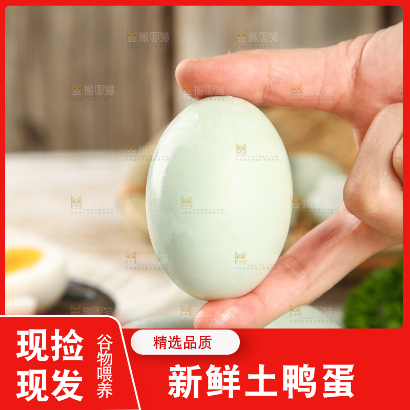 浅底上的鸭蛋