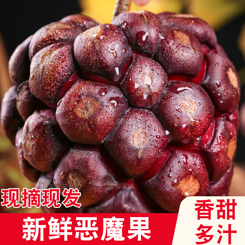 深底上的黑老虎