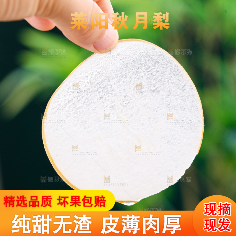 手里拿着一片秋月梨