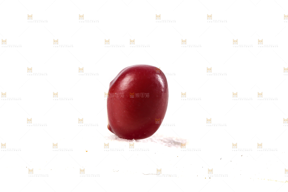 白底上的红豆