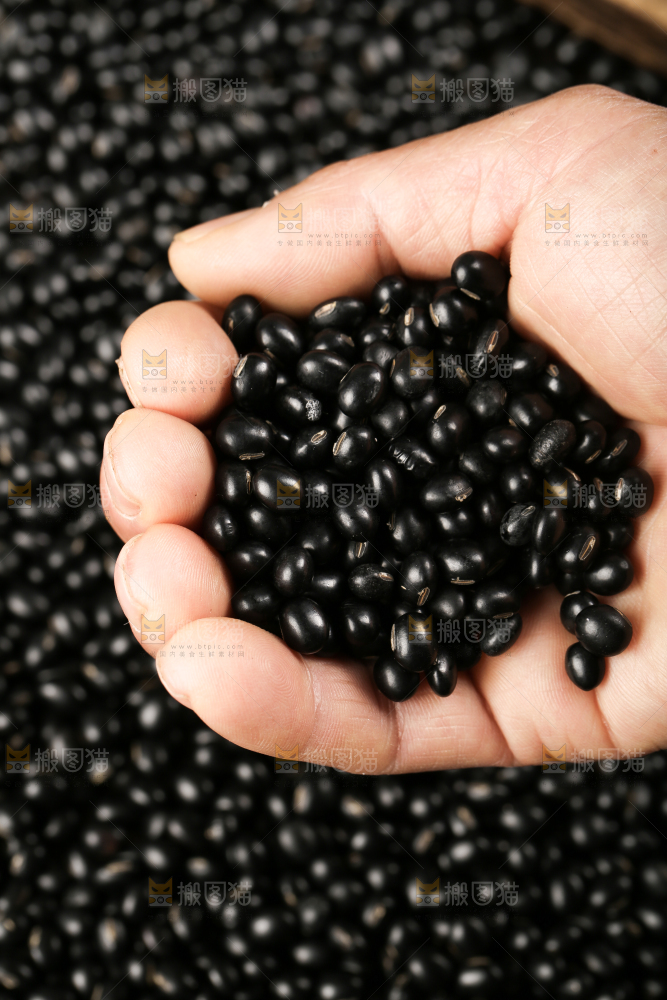 木底上的黑豆