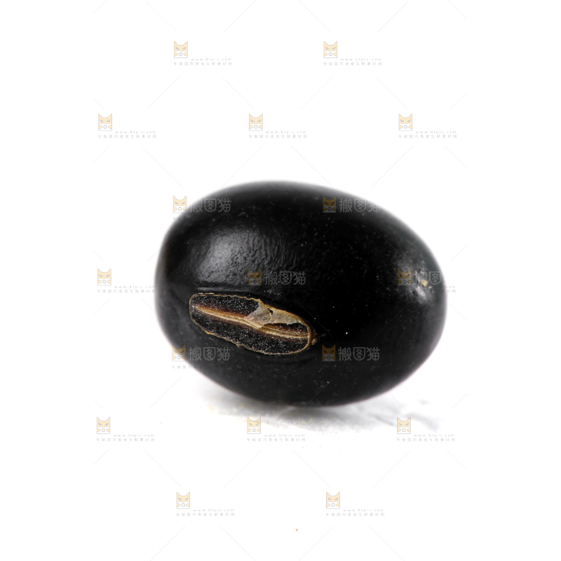 白底上的黑豆