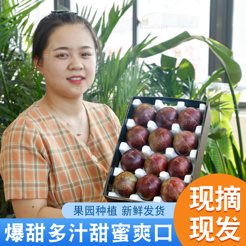 手里拿着恐龙蛋李