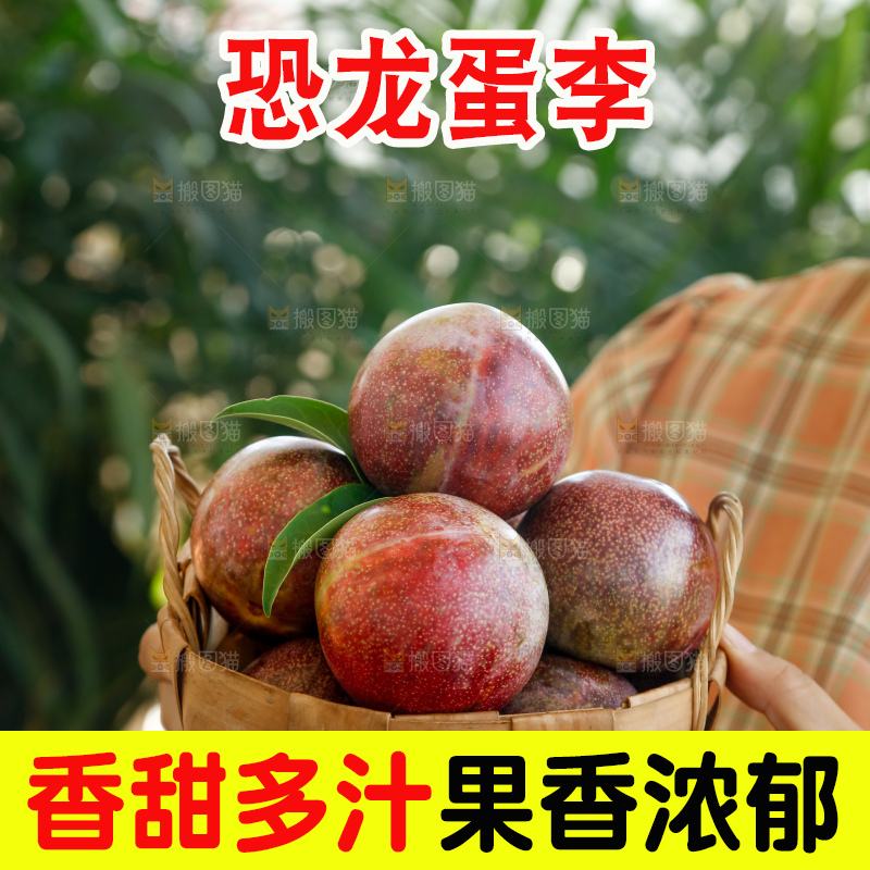 手里拿着恐龙蛋李