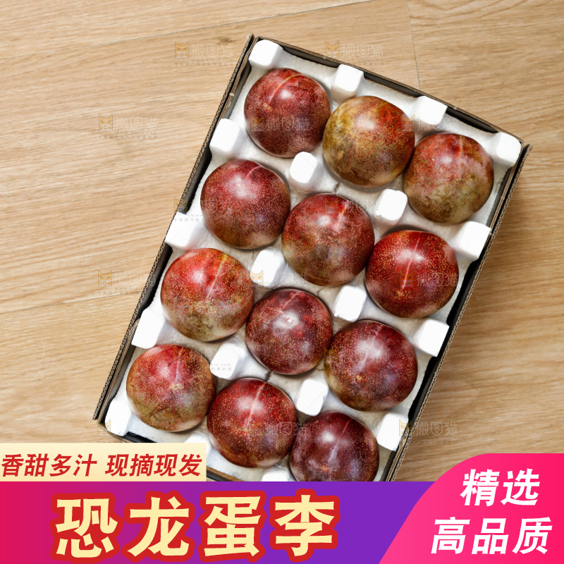手里拿着恐龙蛋李