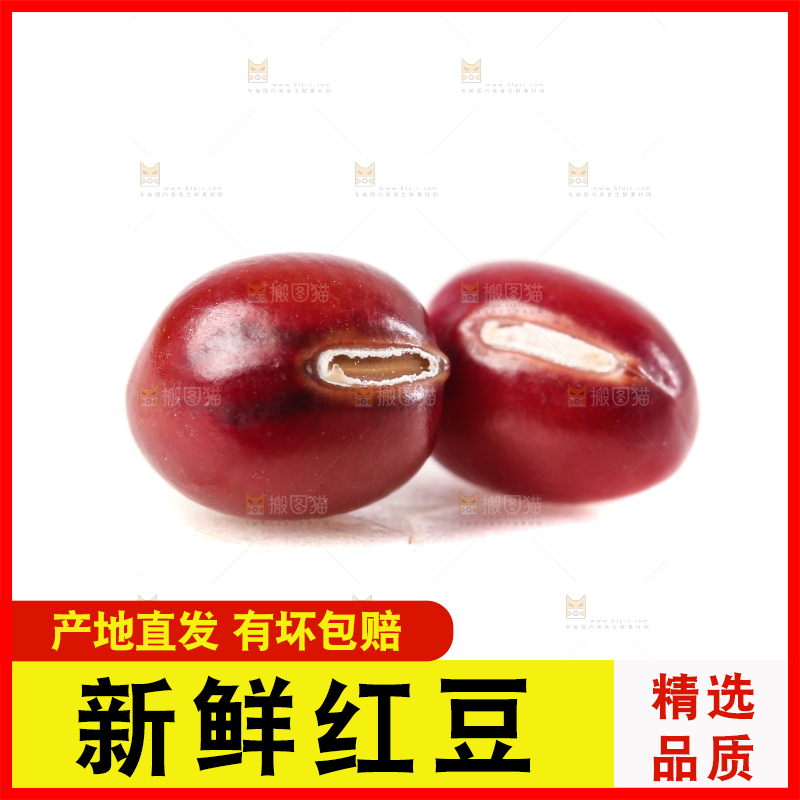 白底上的红豆