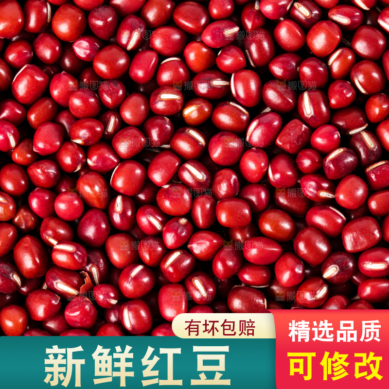 白底上的红豆
