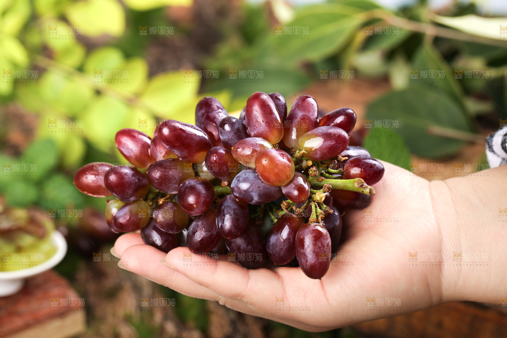 木底上的茉莉香葡萄