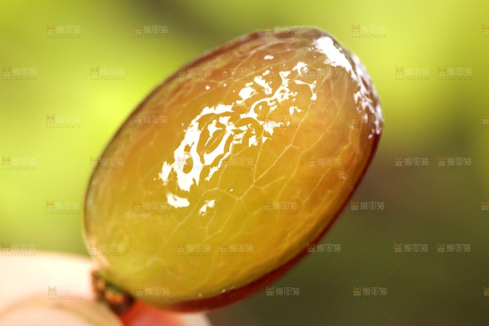 木底上的茉莉香葡萄