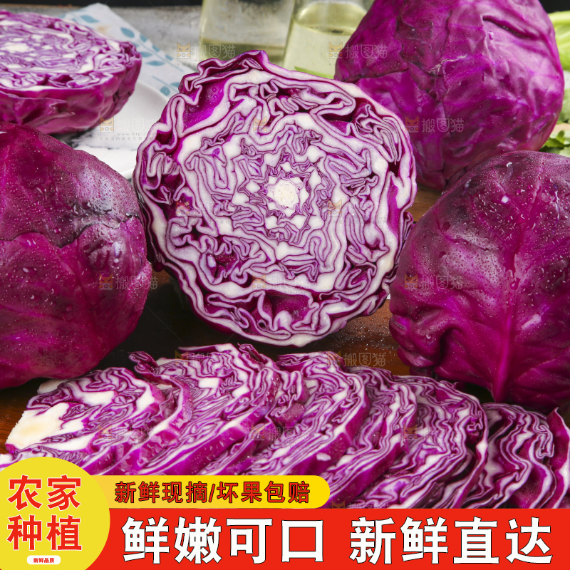 浅底上的紫甘蓝