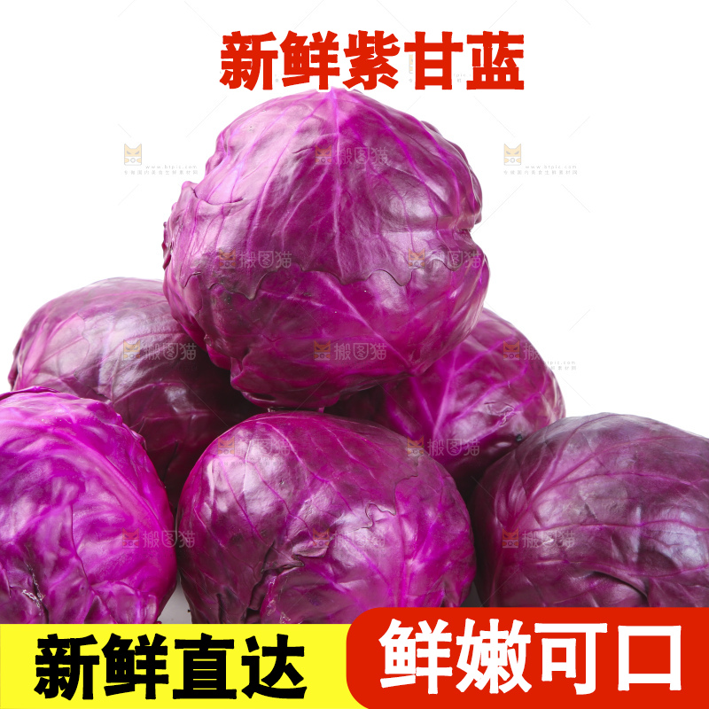 白底上的紫甘蓝