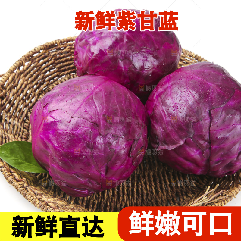 白底上的紫甘蓝