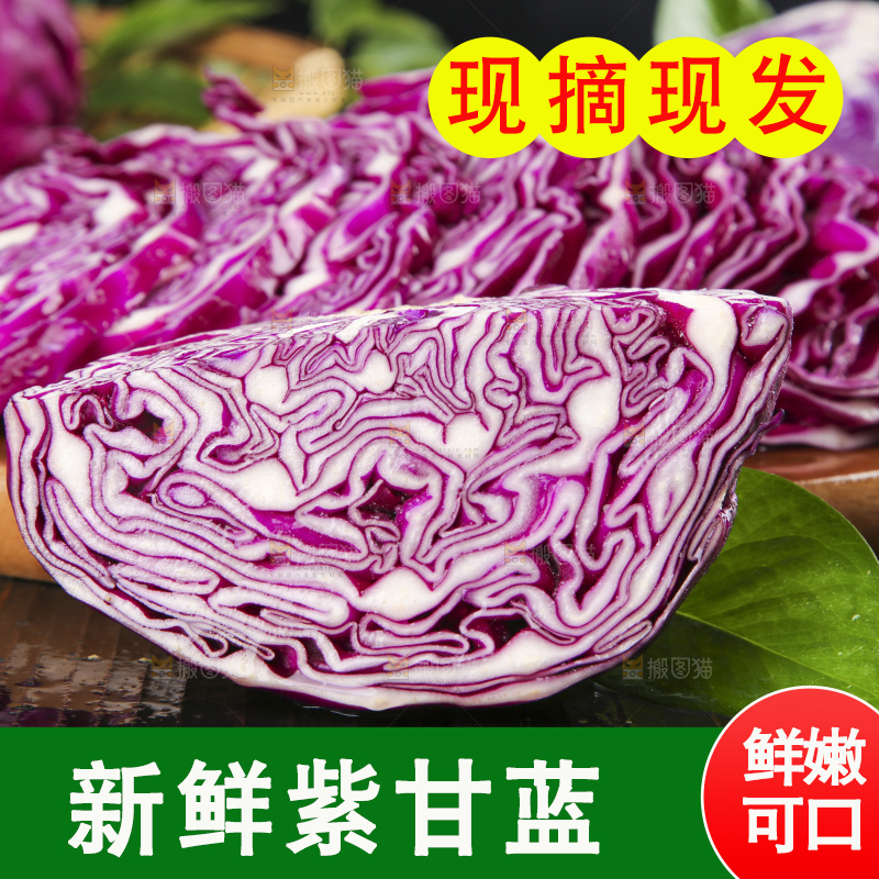 深底上的紫甘蓝