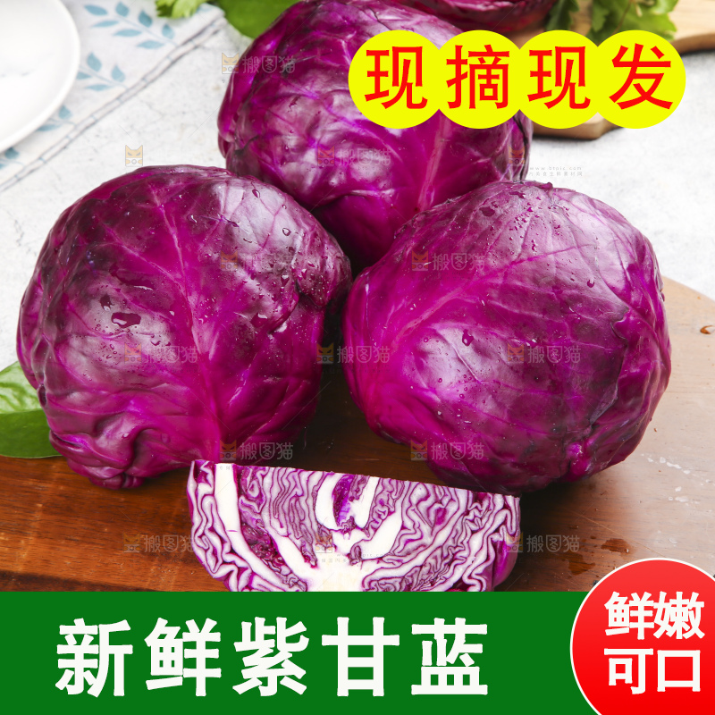 浅底上的紫甘蓝