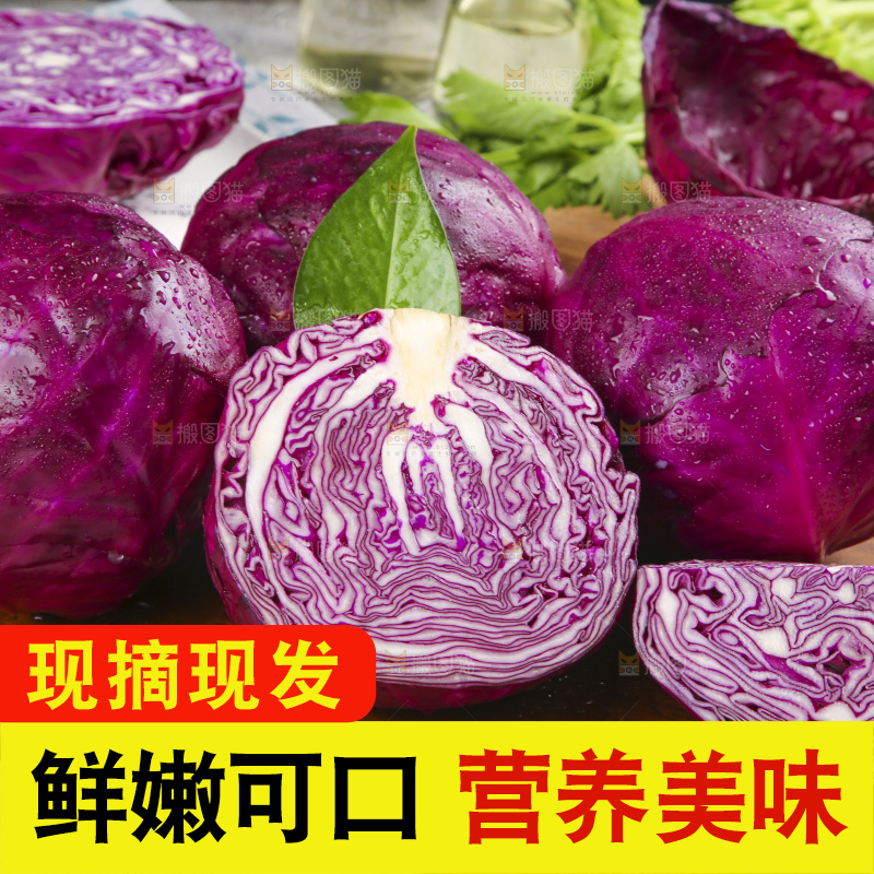 浅底上的紫甘蓝