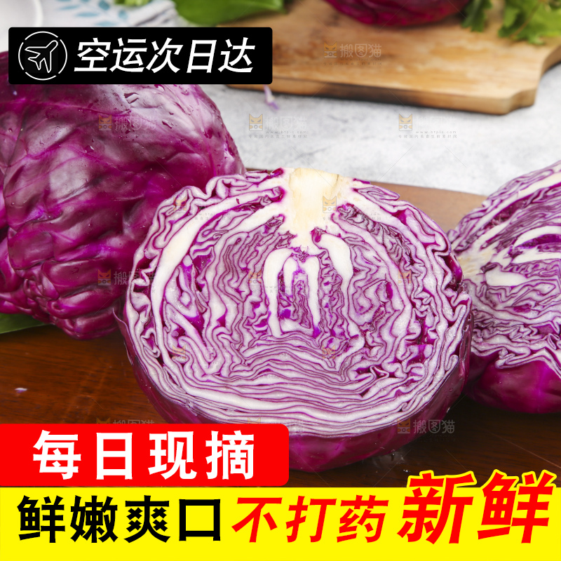 浅底上的紫甘蓝