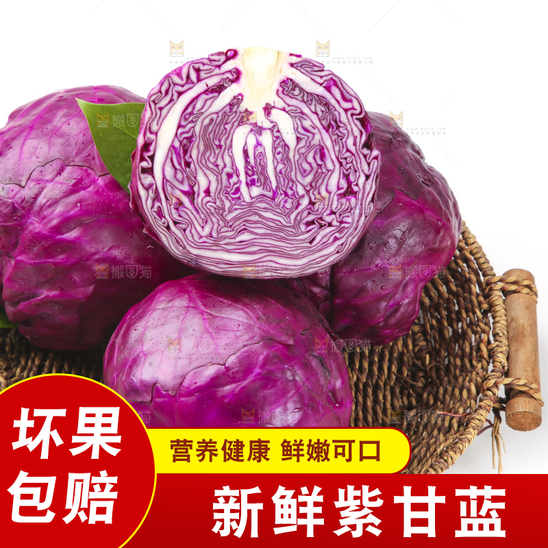 白底上的紫甘蓝