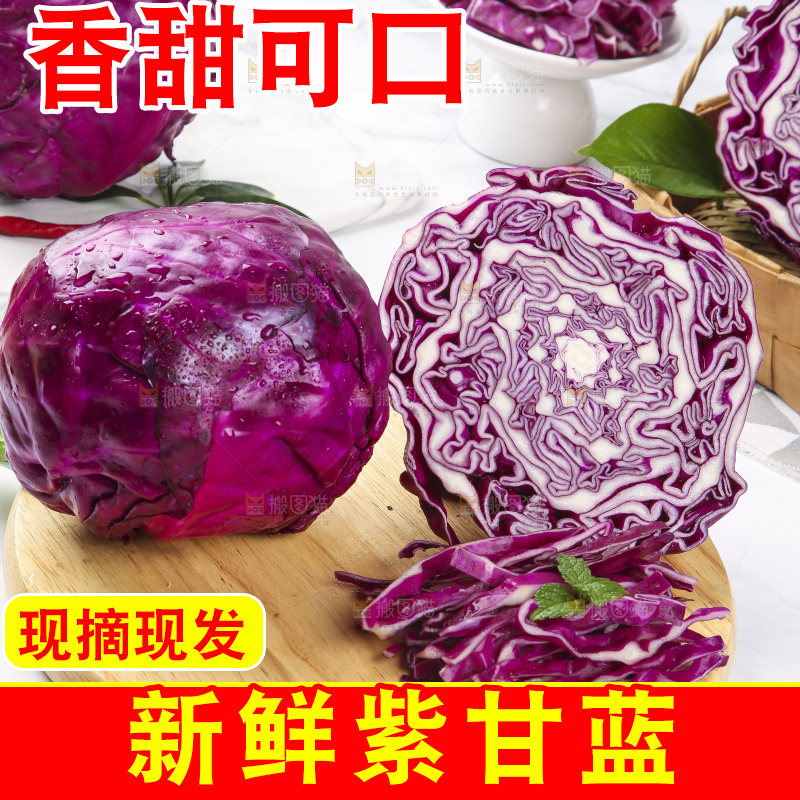 浅底上的紫甘蓝