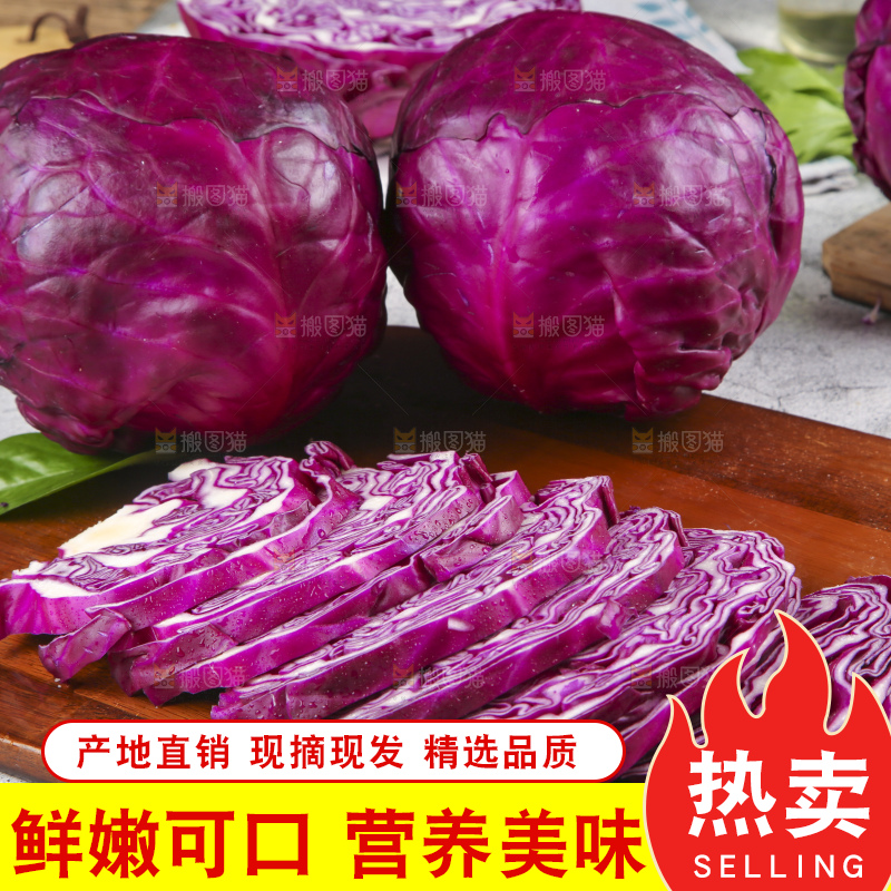 浅底上的紫甘蓝