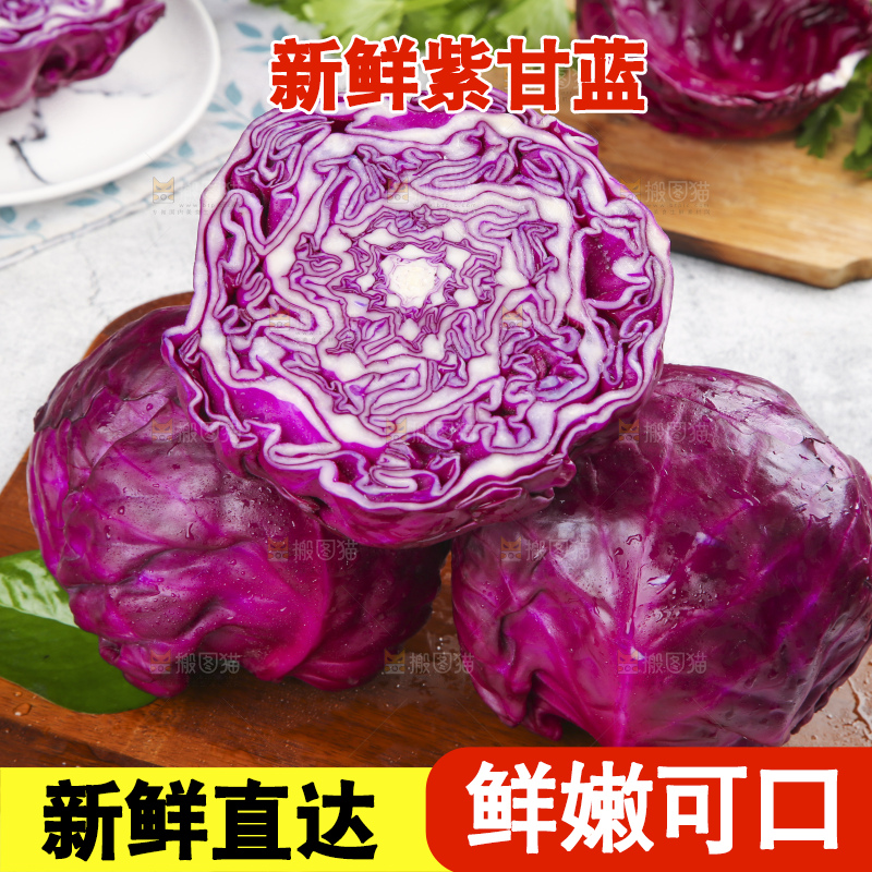 浅底上的紫甘蓝