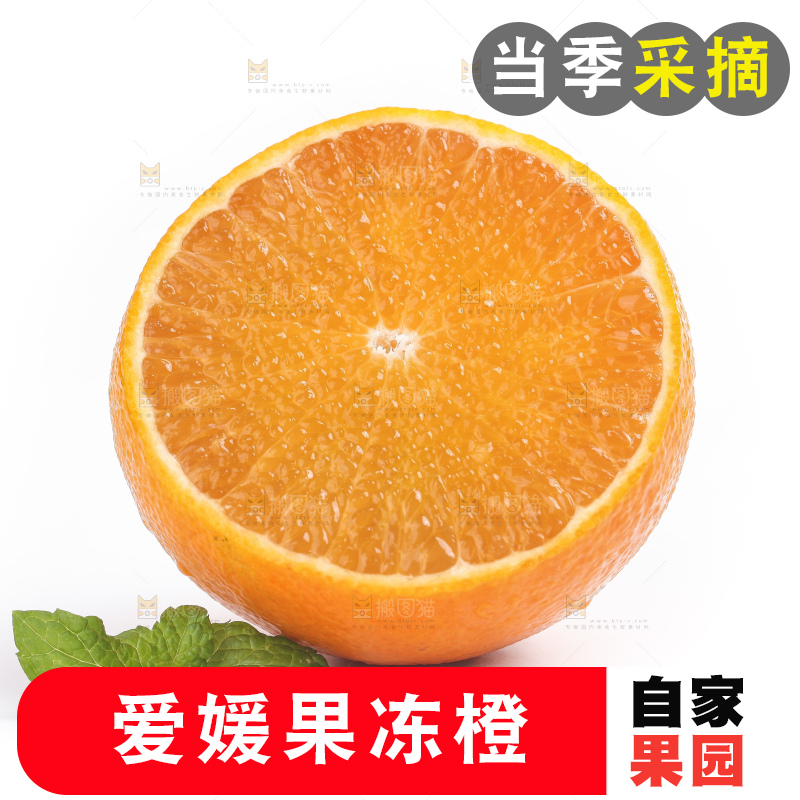 白底上的爱媛果冻橙